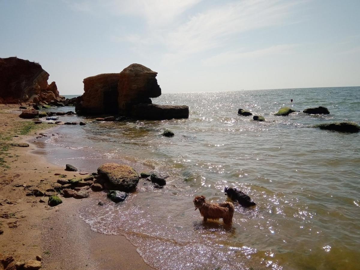 мансарда с террасою, вид на море Fontanka
